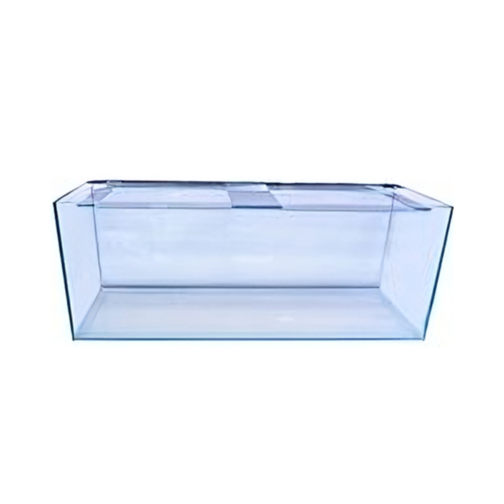 glass aquarium