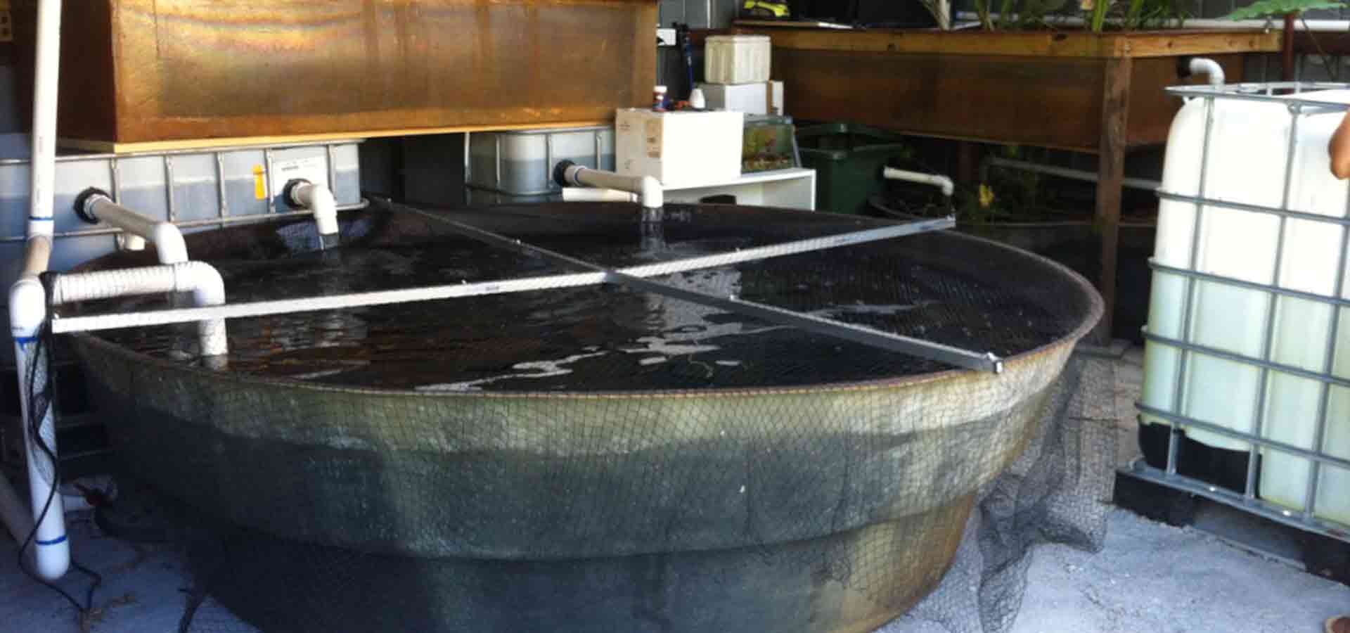 aquaculture gallery 3