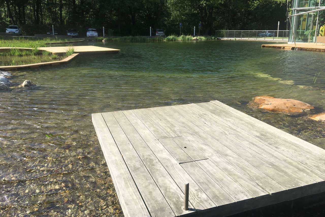 Have you ever heard of a Backyard Billabong or a Natural Swimming Pool? 2