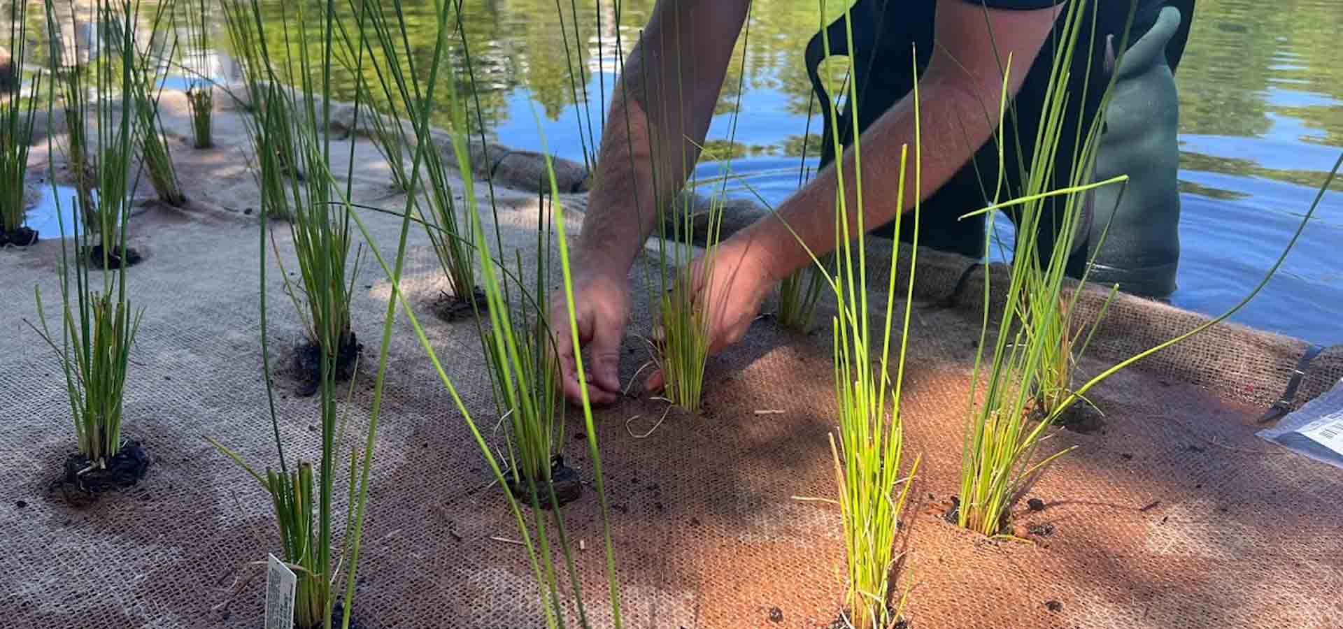 wetland panels gallery 4