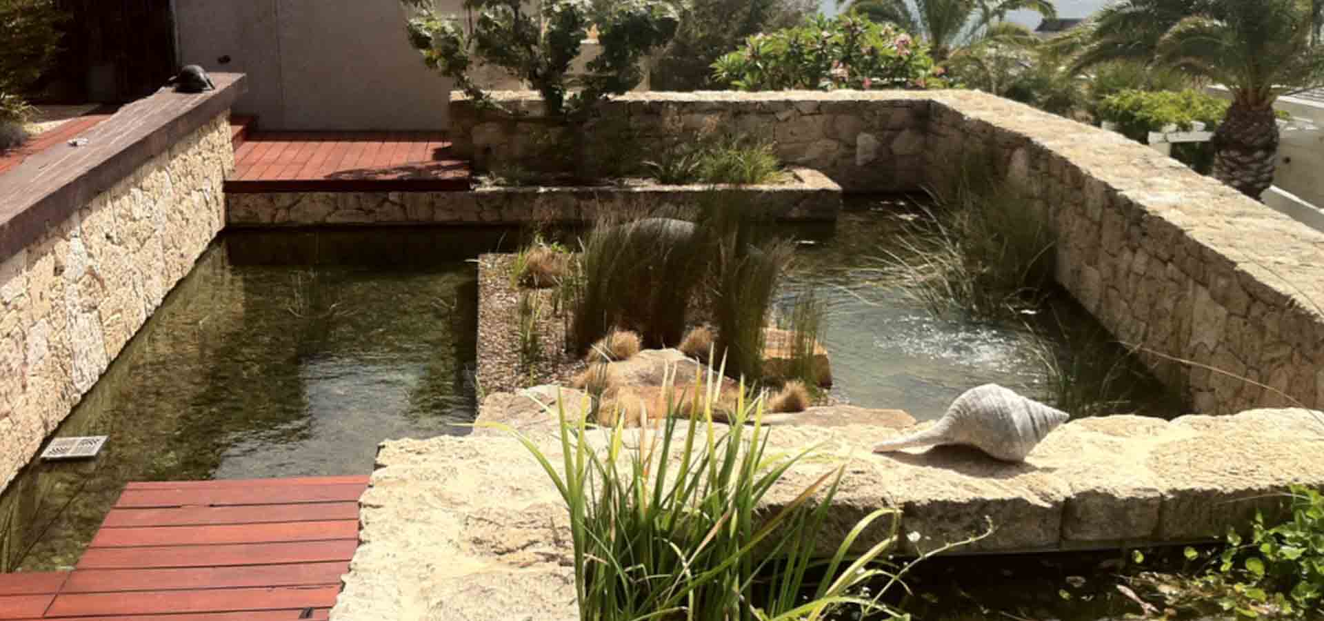 pond services gallery 1