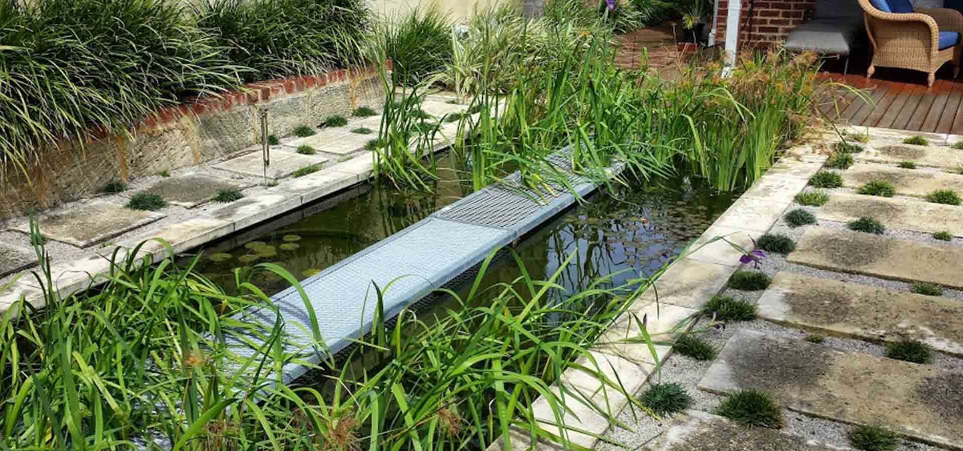 pond services gallery
