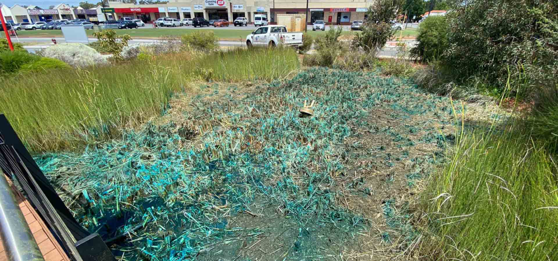 weed removal gallery