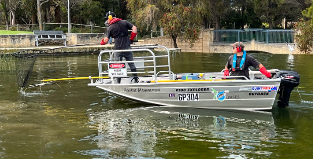 Electrofishing