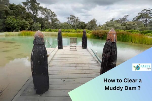 How to Clear a Muddy DamHow to Clear a Muddy Dam