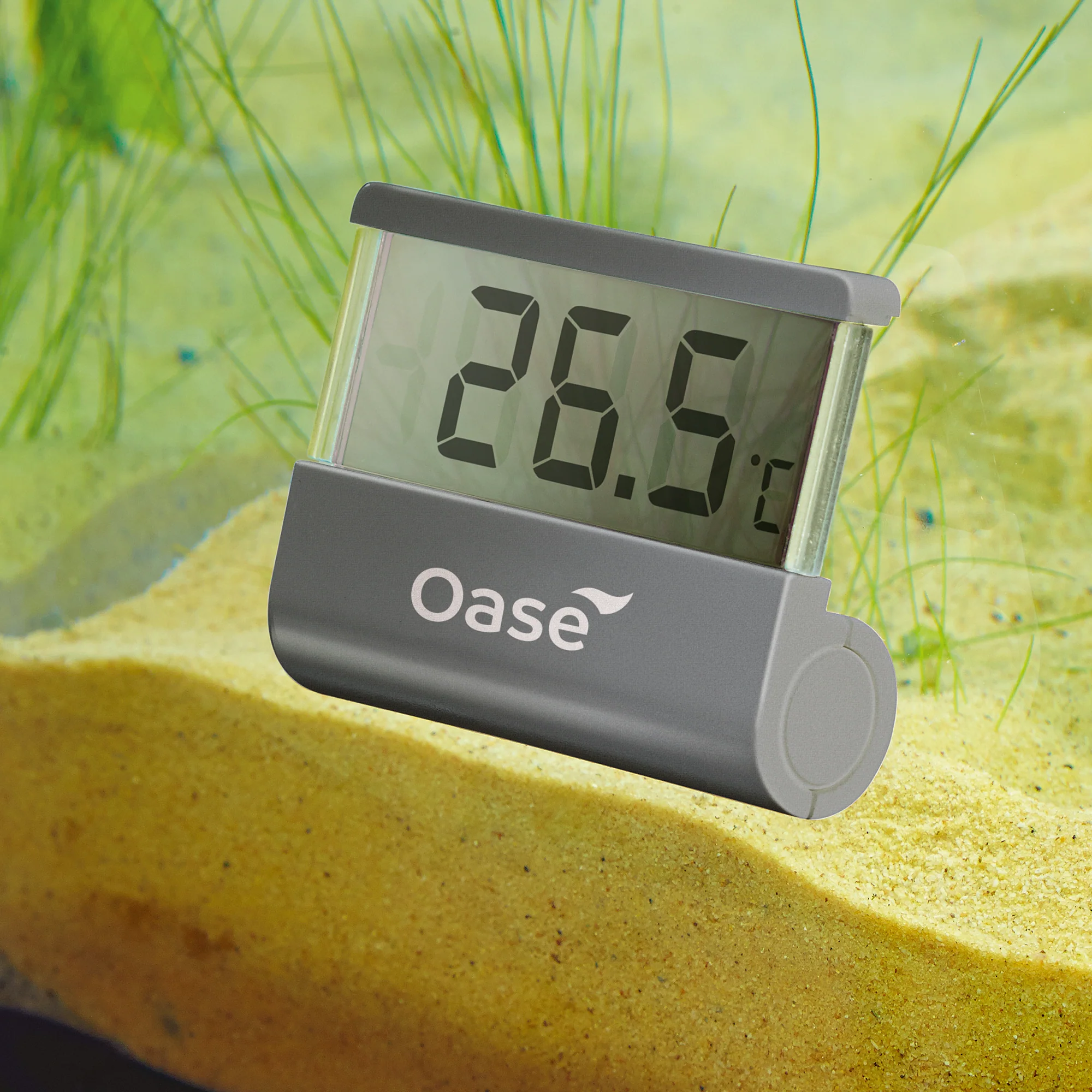OASE Digital thermometer | 43957