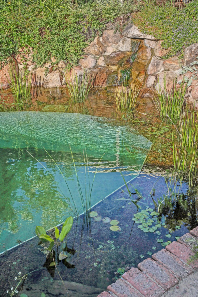 The Rise of Sustainable Swimming Ponds 1