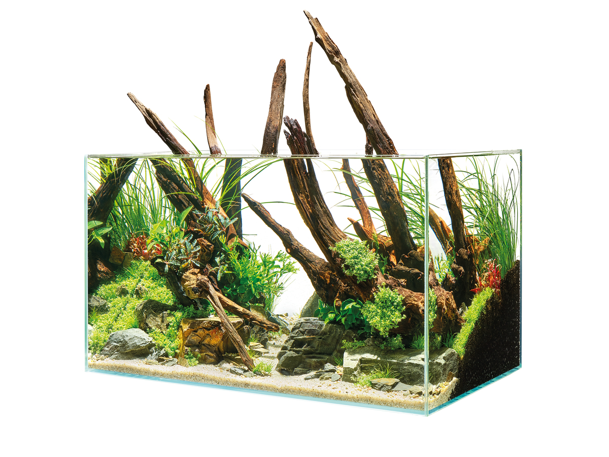 FOT PRD FREI FRRE 87996 ScaperLine60 Aquarium 001
