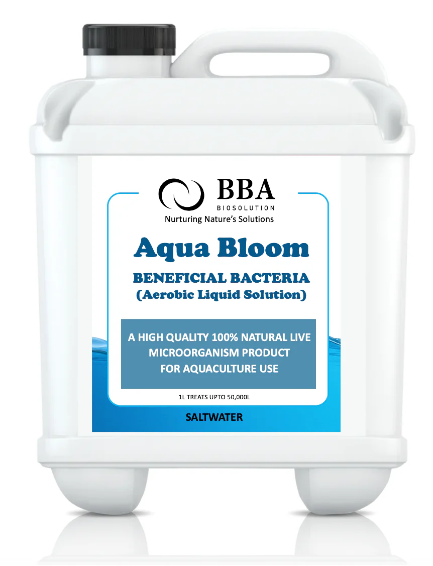 BBA Aqua Bloom Saltwater