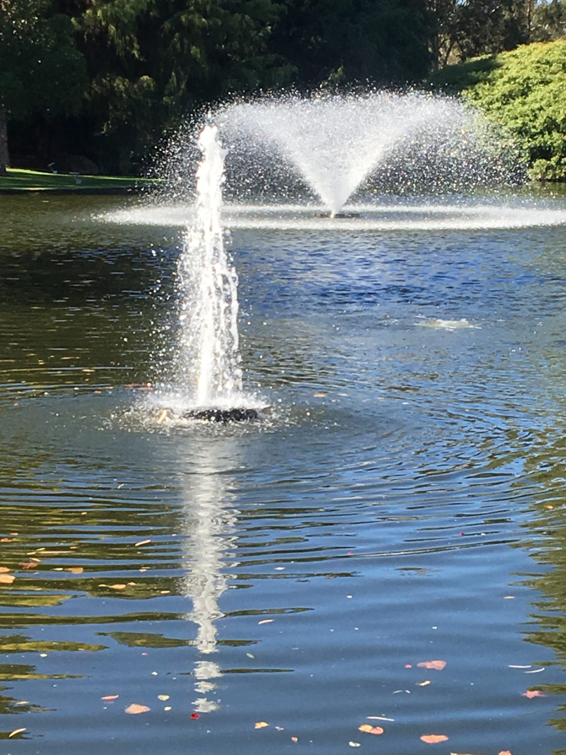 Aeration System Installation Guide: Methods, Costs and Considerations for Australian Dams 6
