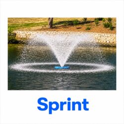 Sprint Category